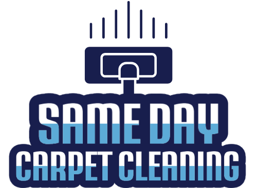 Same Day Carpet Cleaning San Diego
